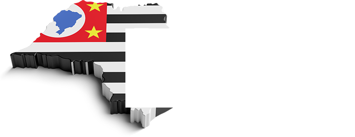 Ricardo Salles - Deputado Federal